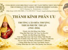Tăng Đoàn GHPGVNTN Hải Ngoại: Thành Kính Phân Ưu Trưởng Lão Hòa Thượng Thích Phước Thuận Viên Tịch