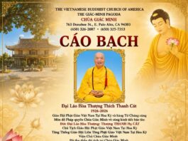 Cáo Bạch: Đại Lão Hòa Thượng Thích Thanh Cát viên tịch, trụ thế 101 năm